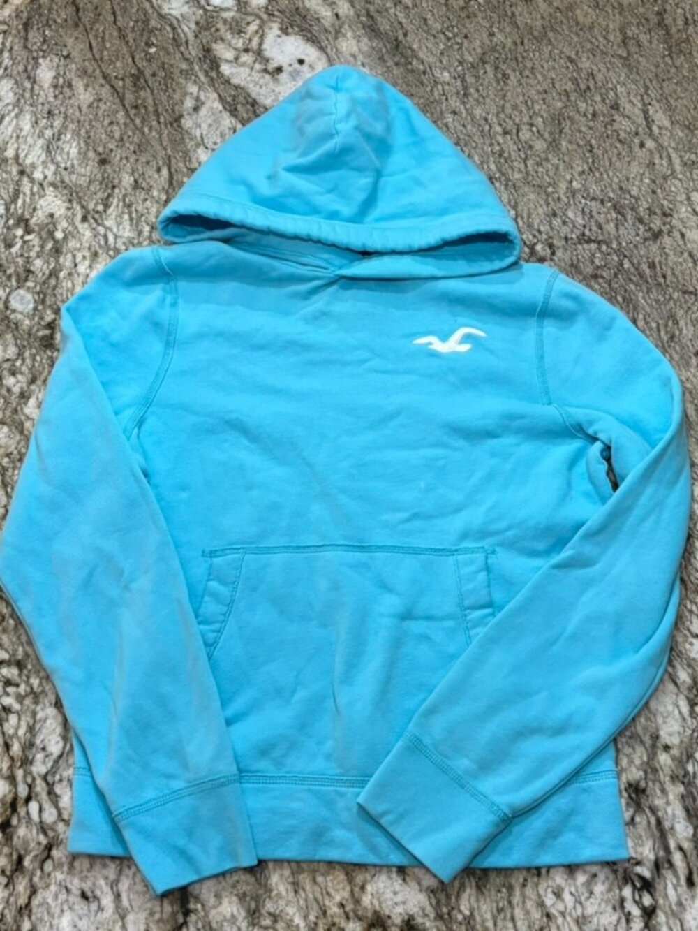 Y2K Hollister Hoodie